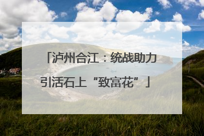 泸州合江：统战助力引活石上“致富花”