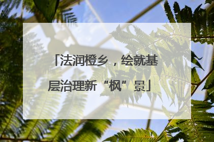 法润橙乡，绘就基层治理新“枫”景