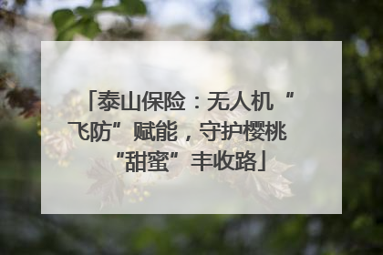 泰山保险：无人机“飞防”赋能，守护樱桃“甜蜜”丰收路