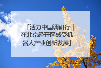 活力中国调研行｜在北京经开区感受机器人产业创新发展