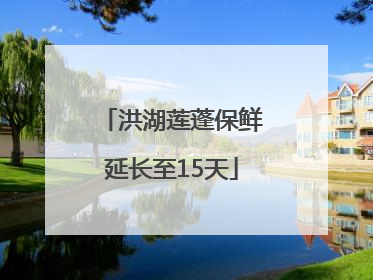 洪湖莲蓬保鲜延长至15天