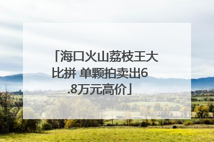 海口火山荔枝王大比拼 单颗拍卖出6.8万元高价