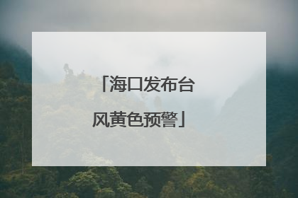 海口发布台风黄色预警