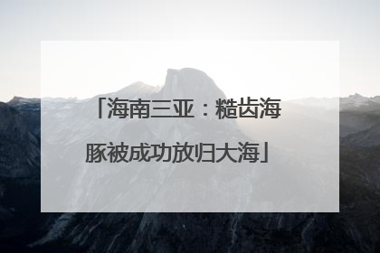 海南三亚：糙齿海豚被成功放归大海