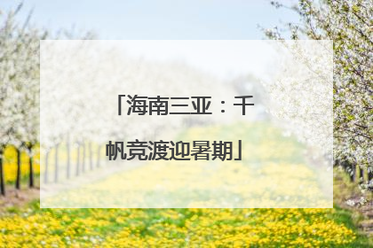 海南三亚：千帆竞渡迎暑期