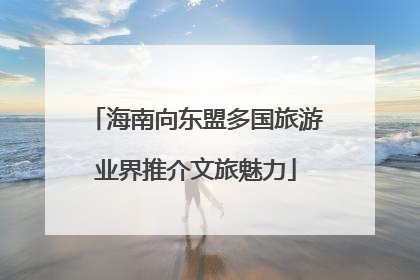 海南向东盟多国旅游业界推介文旅魅力