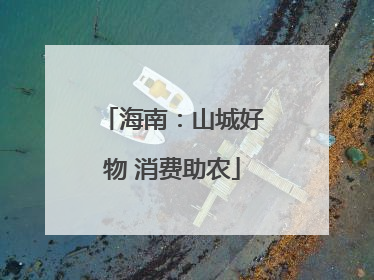 海南：山城好物 消费助农