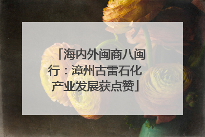 海内外闽商八闽行：漳州古雷石化产业发展获点赞