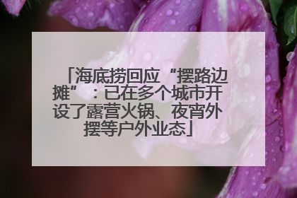 海底捞回应“摆路边摊”：已在多个城市开设了露营火锅、夜宵外摆等户外业态
