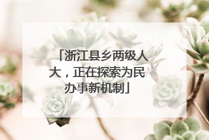 浙江县乡两级人大，正在探索为民办事新机制