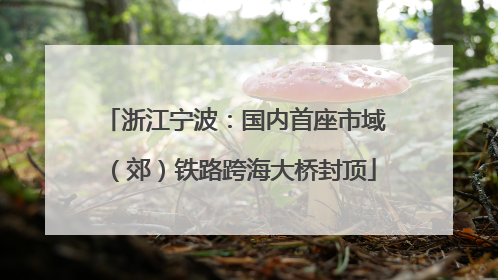 浙江宁波：国内首座市域（郊）铁路跨海大桥封顶