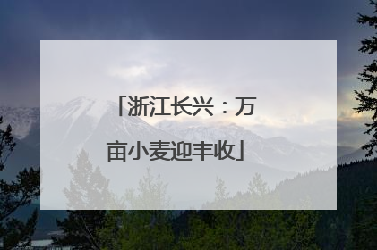 浙江长兴：万亩小麦迎丰收