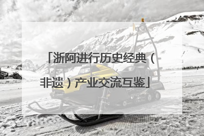 浙阿进行历史经典（非遗）产业交流互鉴