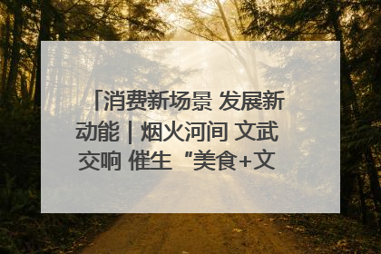 消费新场景 发展新动能｜烟火河间 文武交响 催生“美食+文化”消费新场景
