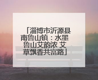 淄博市沂源县南鲁山镇：水墨鲁山艾韵浓 艾草飘香共富路