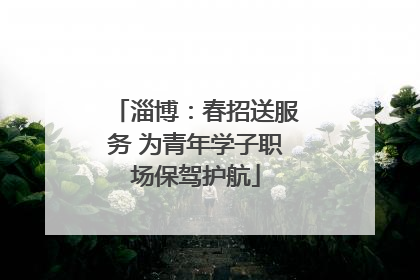 淄博：春招送服务 为青年学子职场保驾护航