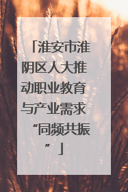 淮安市淮阴区人大推动职业教育与产业需求“同频共振”