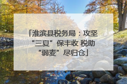 淮滨县税务局：攻坚“三夏”保丰收 税助“弱麦”尽归仓