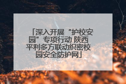 深入开展“护校安园”专项行动 陕西平利多方联动织密校园安全防护网