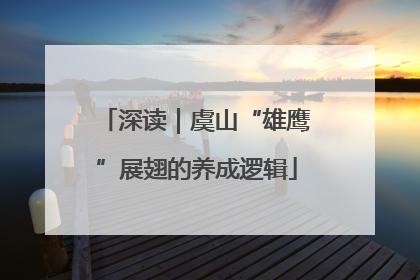 深读｜虞山“雄鹰”展翅的养成逻辑