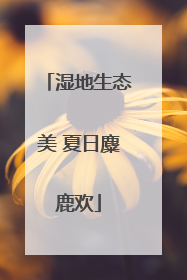湿地生态美 夏日麋鹿欢