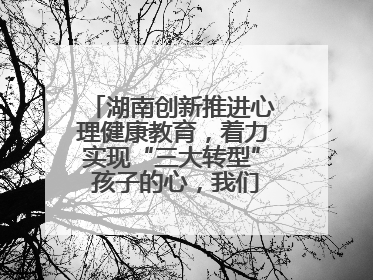 湖南创新推进心理健康教育，着力实现“三大转型” 孩子的心，我们温暖守护