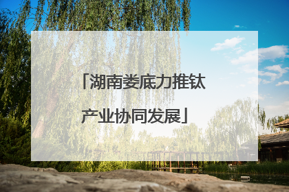 湖南娄底力推钛产业协同发展