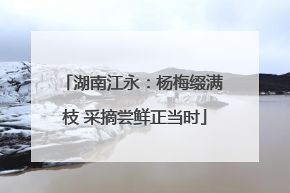湖南江永：杨梅缀满枝 采摘尝鲜正当时