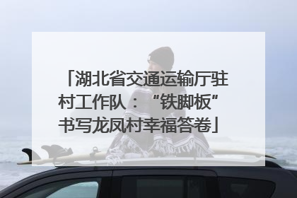湖北省交通运输厅驻村工作队：“铁脚板”书写龙凤村幸福答卷