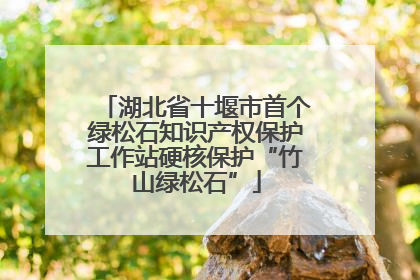 湖北省十堰市首个绿松石知识产权保护工作站硬核保护“竹山绿松石”
