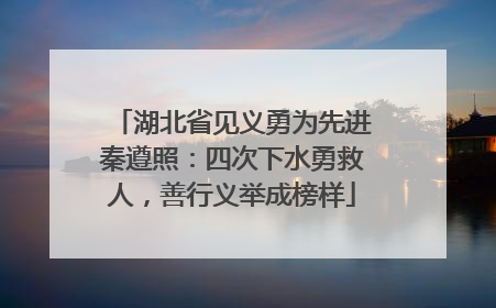湖北省见义勇为先进秦遵照：四次下水勇救人，善行义举成榜样