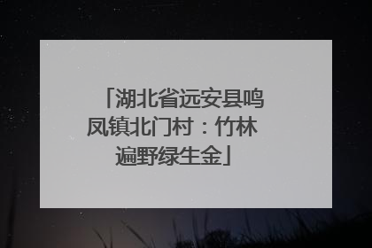 湖北省远安县鸣凤镇北门村：竹林遍野绿生金