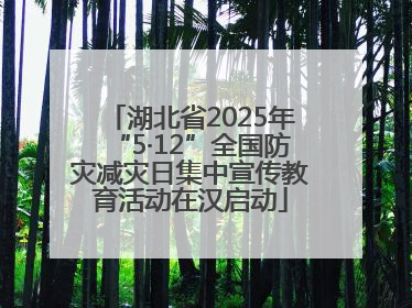 湖北省2025年“5·12”全国防灾减灾日集中宣传教育活动在汉启动