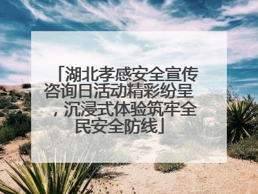 湖北孝感安全宣传咨询日活动精彩纷呈，沉浸式体验筑牢全民安全防线