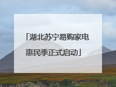 湖北苏宁易购家电惠民季正式启动