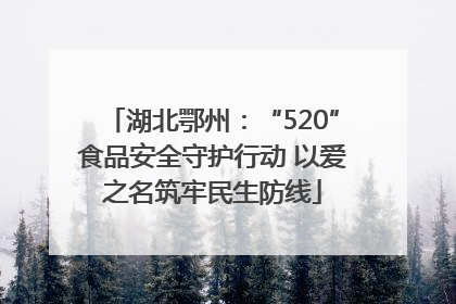 湖北鄂州：“520”食品安全守护行动 以爱之名筑牢民生防线