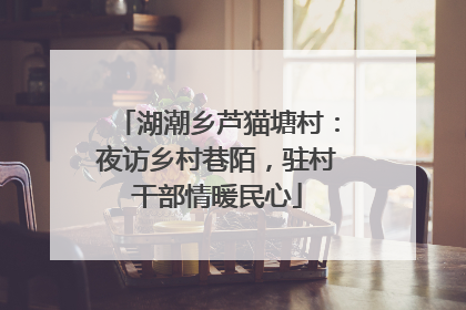 湖潮乡芦猫塘村：夜访乡村巷陌，驻村干部情暖民心
