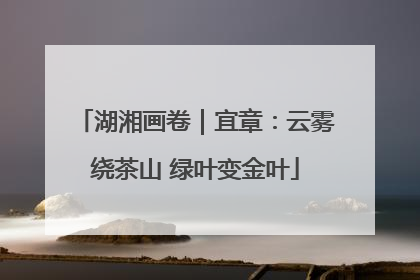 湖湘画卷｜宜章：云雾绕茶山 绿叶变金叶
