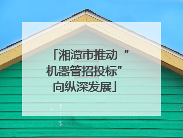 湘潭市推动“机器管招投标”向纵深发展