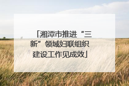 湘潭市推进“三新”领域妇联组织建设工作见成效