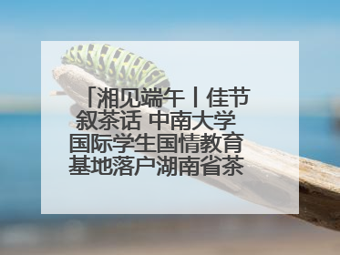 湘见端午丨佳节叙茶话 中南大学国际学生国情教育基地落户湖南省茶叶博物馆