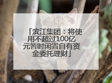 滨江集团：将使用不超过100亿元暂时闲置自有资金委托理财