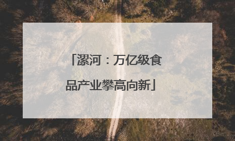 漯河：万亿级食品产业攀高向新