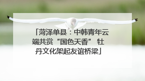 菏泽单县：中韩青年云端共赏“国色天香” 牡丹文化架起友谊桥梁
