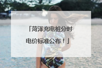菏泽充电桩分时电价标准公布！