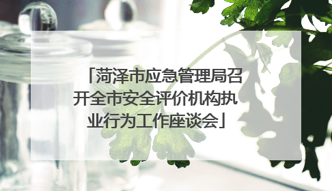 菏泽市应急管理局召开全市安全评价机构执业行为工作座谈会