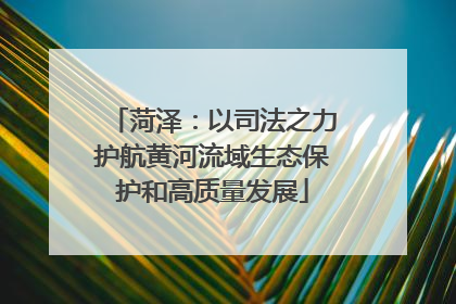 菏泽：以司法之力护航黄河流域生态保护和高质量发展