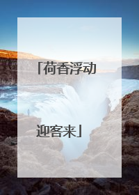 荷香浮动迎客来
