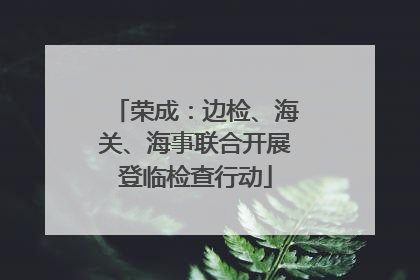 荣成：边检、海关、海事联合开展登临检查行动