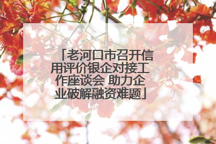 老河口市召开信用评价银企对接工作座谈会 助力企业破解融资难题